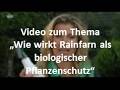 NDR: "Gärtnern natürlich": Rainfarn gegen die weiße Fliege oder Blattläuse 🌿